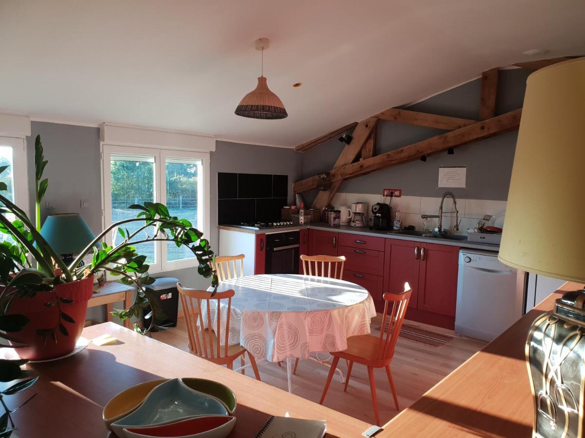 Chambre D'Hote De L'Elevage Du Lattay Les Hauts-d'Anjou Luaran gambar