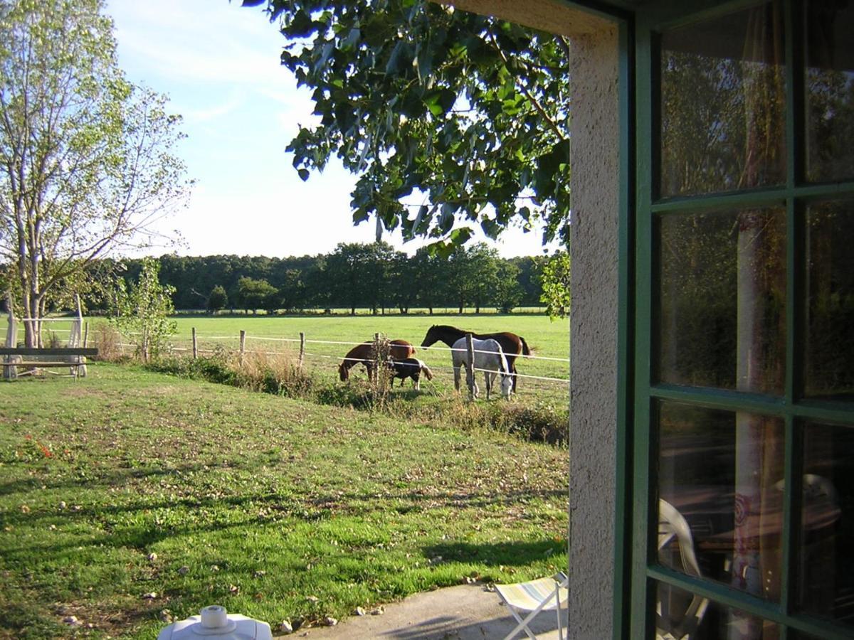 Chambre D'Hote De L'Elevage Du Lattay Les Hauts-d'Anjou Luaran gambar